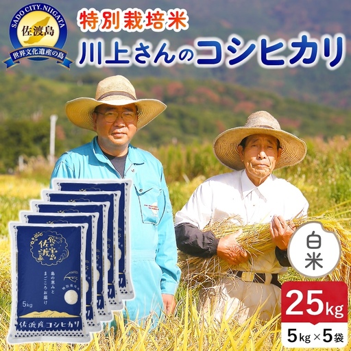 令和8年産 佐渡島産川上さんのコシヒカリ 白米25kg 特別栽培米 195962-111702