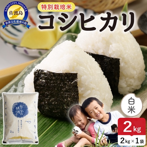 令和8年産 佐渡島産コシヒカリ 白米2kg 特別栽培米 195962-121102