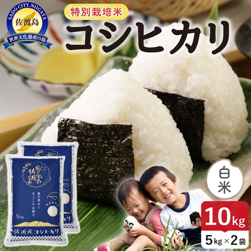令和8年産 佐渡島産コシヒカリ 白米10kg 特別栽培米 195962-121402