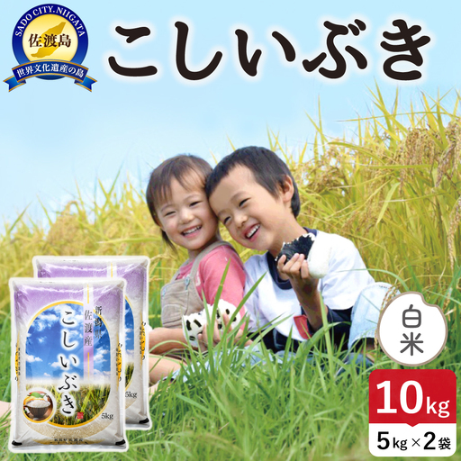 令和8年産 佐渡島産こしいぶき 白米10kg 195962-151402