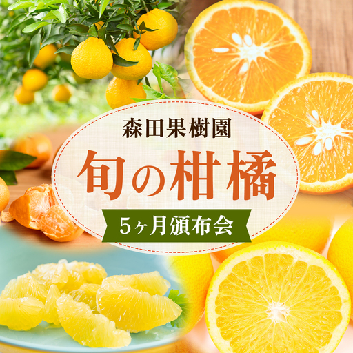 柑橘 柑橘定期便 森田果樹園