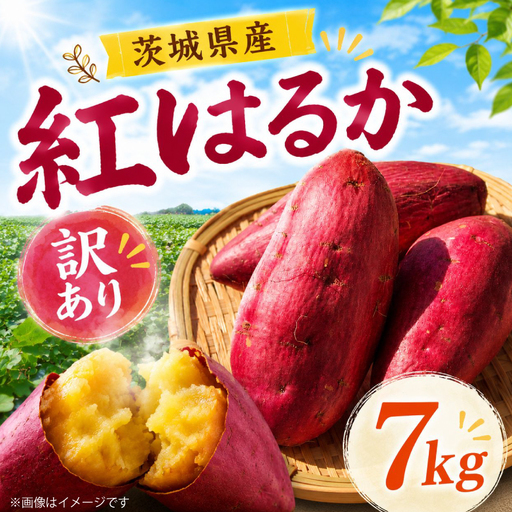 さつまいも 土付き 紅はるか サツマイモ 訳あり 約 7kg