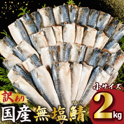 訳あり 国産 無塩さば 約2kg 小サイズ 【10月以降発送】 サバ