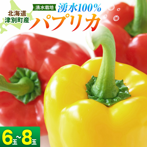 [R8年産] 湧水栽培 ナツやさいのパプリカ 6玉〜8玉セット ピンクの八百屋 ナツやさい | パプリカ 赤 黄 肉厚 サラダ 炒め物 スープ 肉詰め 煮浸し パエリア 旬 産地直送 北海道 津別町 送料無料