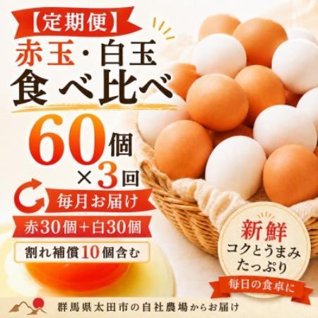 【毎月定期便】むかしの美味しい卵・心美卵 紅白食べ比べセット 60個(各30個)全3回【配送不可地域：離島】【4091597】
