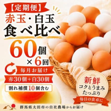 【毎月定期便】むかしの美味しい卵・心美卵 紅白食べ比べセット 60個(各30個)全6回【配送不可地域：離島】【4091603】