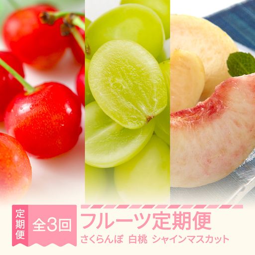 [先行予約]フルーツ定期便 全3回 秀品 令和9年産 sb-ftsms3