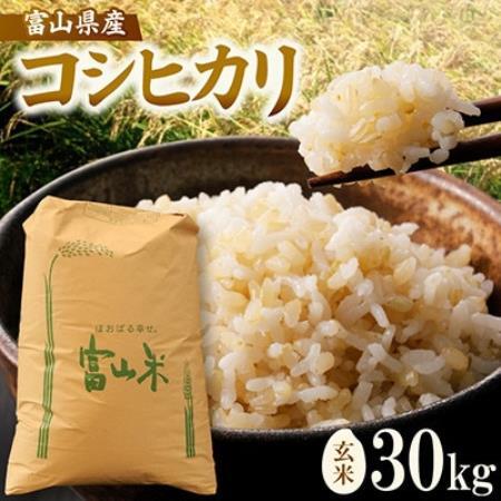 【新米】令和8年産 富山県小矢部市産 コシヒカリ 玄米30kg(30kg×1袋)【1772369】