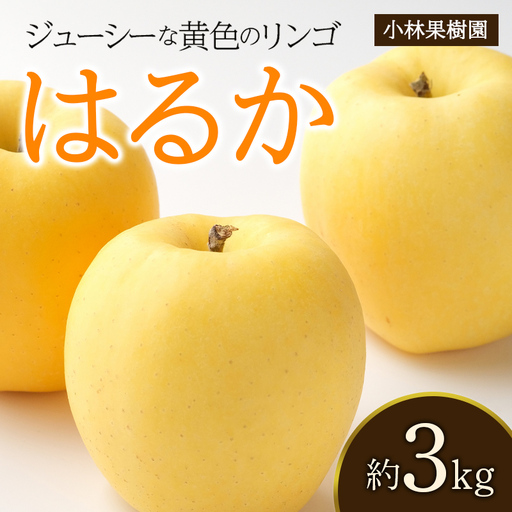 [小林果樹園] 福島県伊達市産 黄色いりんご はるか 約3kg F21C-534