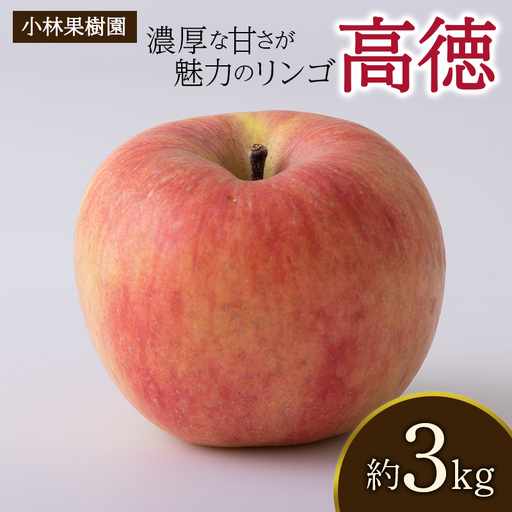 [小林果樹園] 福島県伊達市産 ひと口で広がる 濃厚な甘さ りんご 高徳 約3kg F21C-535