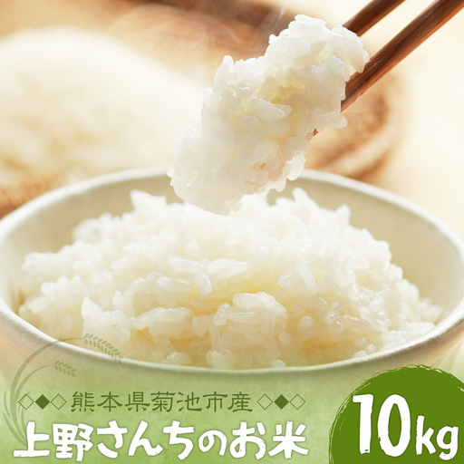 上野さんちのお米 10kg THANTEAMS《11月上旬-1月下旬頃出荷》