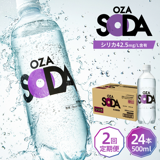 [全2回定期便]強炭酸水 OZA 500ml 24本[ARFL002]炭酸 飲料