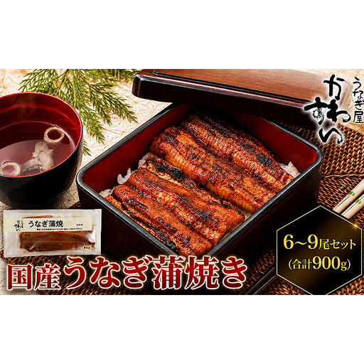 うなぎ 蒲焼き 国産 うな丼 ひつまぶし 冷凍 うなぎ【6〜9尾 計900g以上 タレ12個付き】 【46312846】