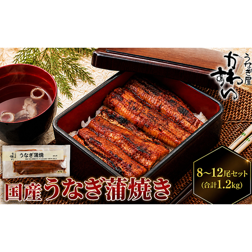 うなぎ 蒲焼き 国産 うな丼 ひつまぶし 冷凍 うなぎ【8〜12尾 計1.2kg以上 タレ16個付き】 【46312847】