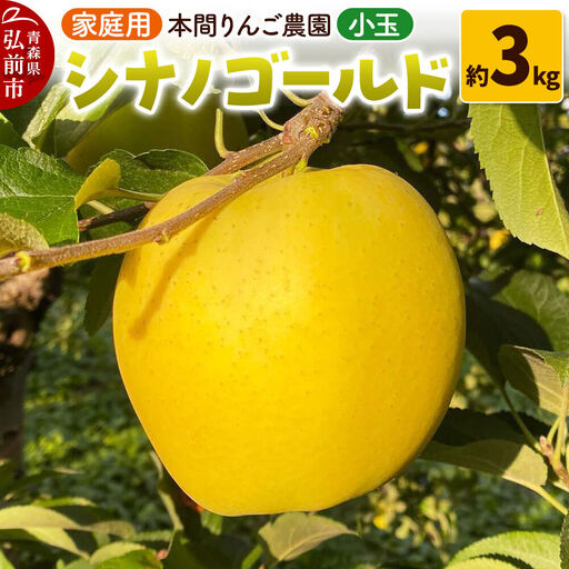 [26年10月下旬〜発送]りんご シナノゴールド[家庭用]約3kg 小玉 先行受付 青森県 弘前市 果物 フルーツ 林檎 リンゴ くだもの 不揃い 規格外
