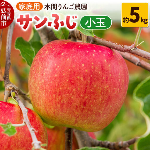 【26年12月発送】サンふじ【家庭用】約5kg 小玉 先行受付 青森県 弘前市 果物 フルーツ 林檎 リンゴ くだもの 不揃い 規格外