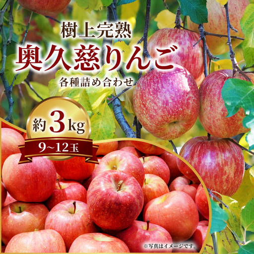 [先行予約]仲野りんご園の奥久慈りんご(各種詰め合わせ)約3kg(9〜12玉)|茨城県 大子町 エコファーマー 樹上完熟 林檎 アップル 紅玉 秋映 陽光 シナノスイート 食べ比べ 果物 フルーツ 旬 秋 味覚 ギフト 贈答