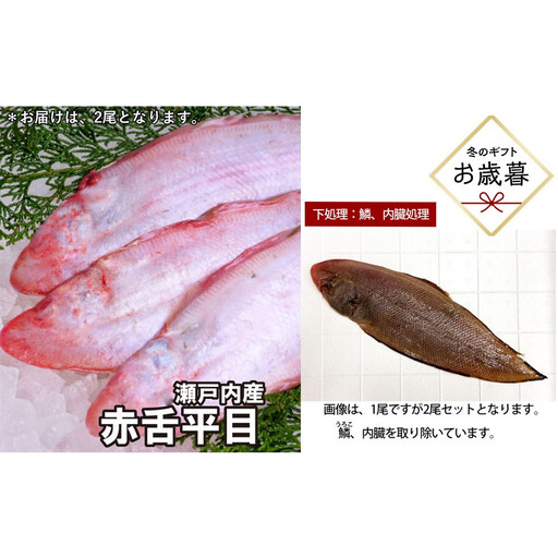[お歳暮][鱗、内臓処理]赤舌平目 2尾(1尾、約250g〜300g)れんちょうがれい レンチョウ