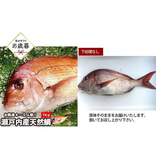 [お歳暮][下処理なし]活き締め真鯛1尾(約1kg)タイ たい 刺身 鍋