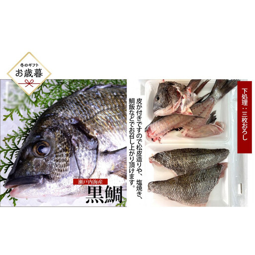 【お歳暮】【三枚おろし皮付き】黒鯛 1尾（約1ｋg）ちぬ チヌ 刺身