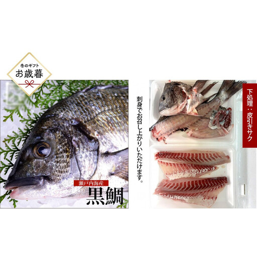 [お歳暮][三枚おろし全て皮引きサク]黒鯛 1尾(約1kg)ちぬ チヌ 刺身