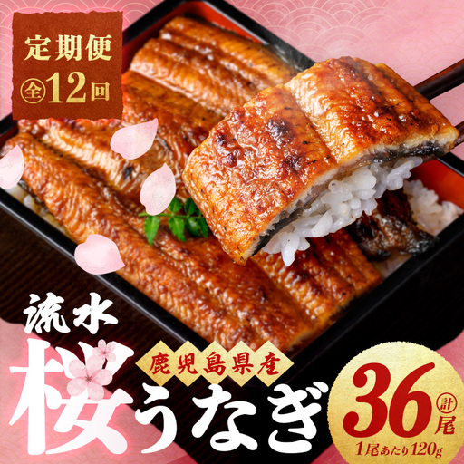 【ふるなび限定】 【定期便・全12回】流水桜うなぎ定期便 計4.3kg超（120g×3尾×12ヶ月） FN-Limited-SP t0168-002