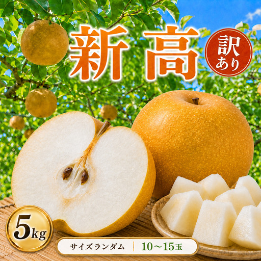 【2026年先行予約】 訳あり! サイズランダム 新高 約5kg 梨