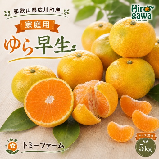 ゆら早生 5kg 家庭用 サイズ混合 / ※2026年10月中旬〜11月中旬頃に順次発送予定 和歌山 有田 広川 みかん 由良 柑橘 果物 くだもの フルーツ 果実 [tom003-c-5]