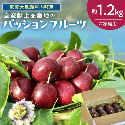 27年産先行予約 パッションフルーツ ご家庭用 約1.2kg