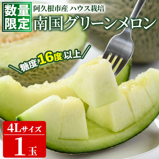 [先行予約受付中!2027年6月中旬以降順次発送予定] 数量限定!鹿児島県産南国グリーンメロン(4Lサイズ×1個) メロン フルーツ デザート 果物 鹿児島 国産 阿久根市産 青肉 ハウス ハウス栽培 期間限定 [東新グリーンファーム合同会社]akn062-14