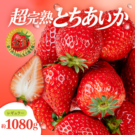 いちご【3月以降発送】朝採れとちあいか レギュラーサイズ 約270g × 4パック 合計 約1080g |イチゴ いちご