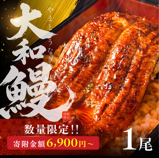 ※数量限定※ 国産特上 大和鰻 1尾(約156~183g) 国産鰻 選べる うなぎ unagi ウナギ 蒲焼 長蒲焼 うなぎ 上 特 贈答 ギフト 豊橋 土用の丑の日 カネナカ 冷凍 限定 うな重 うな丼 ひつまぶし 愛知県 豊橋市
