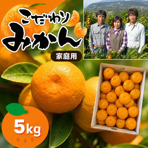 ≪家庭用≫こだわりみかん 5kg | 豊華の夢ロード