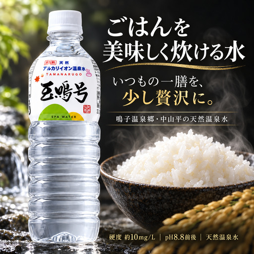 玉鳴号[定期便3回]|宮城県鳴子温泉の天然アルカリイオン水 500ml×24本 | bi-tng-500-24-t3