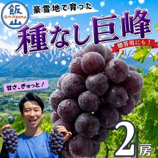 種なし巨峰 2房(約1kg以上)[2026年9月上旬より順次発送]|木原果樹園