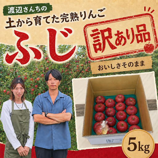 訳あり りんご 完熟 ふじ 5kg 箱|[11月下旬より順次お届け]リンゴ 林檎 フルーツ 果物 栃木県矢板市産