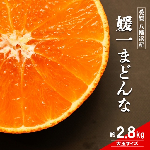 [先行受付]ゼリーのような食感!「媛一まどんな」大玉約2.8kg入[28-45]Y