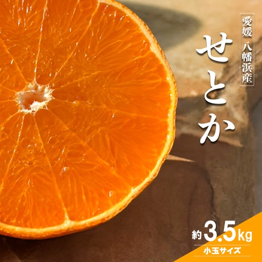 [先行受付]愛媛の柑橘の代名詞!「せとか」小玉約3.5kg入[28-50]Y