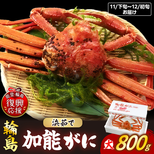 【先行予約】浜茹で加能ガニ（雄）【大】R8年内発送 wa001 蟹 蟹