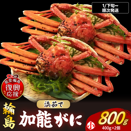 【先行予約】浜茹で加能ガニ（雄）【小×2】R9年発送 wa001 蟹