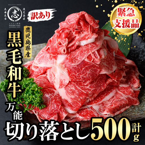 【緊急支援品】【訳あり】黒毛和牛万能切り落とし肉 計500g(500g×1P) 鹿児島県産 黒毛和牛 和牛 切り落とし 肉 牛肉 国産 九州産 赤身 薄切りすき焼き しゃぶしゃぶ カレー 小分け 煮込み 訳あり 訳アリ 切落し p95-001