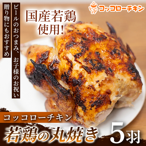 若鶏の丸焼きコッコローチキン　5羽【国内産】　国産 チキン 丸鶏 丸ごと 丸焼き ラテン風焼き グリル お祝い 熊本県 玉名市