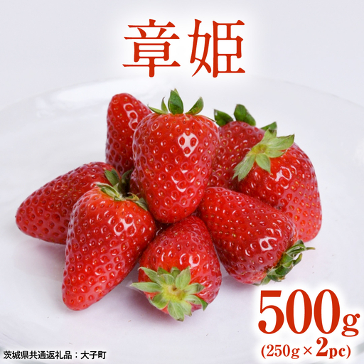 章姫 500g (250g×2pc) [ 2026年12月上旬発送開始 ] ( 茨城県共通返礼品:大子町 ) [FC210us]