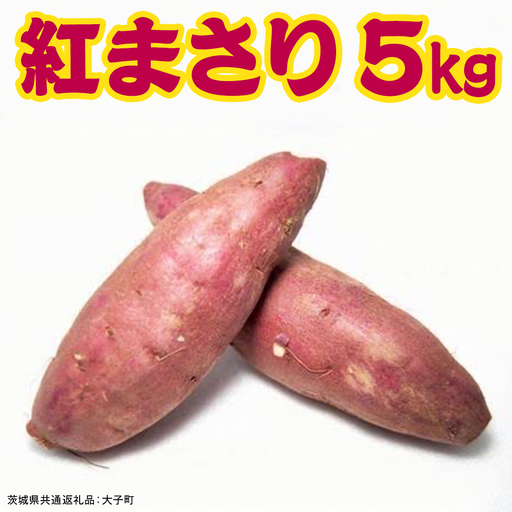 紅まさり 5kg [ 2026年12月上旬発送開始 ] ( 茨城県共通返礼品:大子町 ) [FC203us] さつまいも