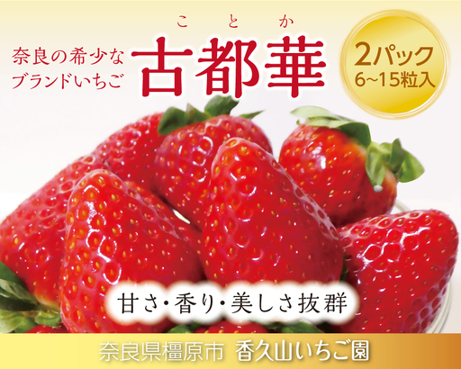 甘さ格別!奈良の高級いちご「古都華」2パックセット ※2027年1月〜発送