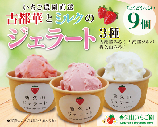 農園仕込みの贅沢ジェラート。奈良ブランドいちご「古都華」ジェラート9個セット(古都華みるく・古都華ソルベ・香久山みるく)
