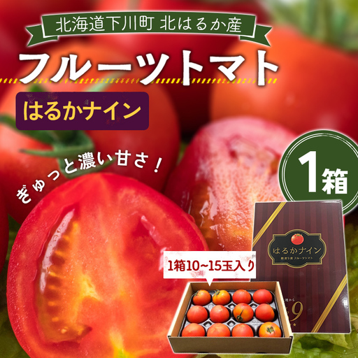 [先行予約]令和8年産 10〜15玉前後 糖度9.0度以上 北はるか産フルーツトマト はるかナイン 1箱 フルーツトマト グルメ ギフト 贈答用 ブランド野菜 糖度9度 9以上 故郷 ふるさと 納税 国産 北海道 北海道 下川町