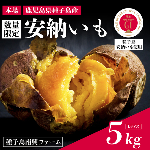 【先行予約】種子島 安納いも 5kg（Lサイズ：300g～400g）（種子島南興ファーム）さつまいも 本場 安納芋 安納紅 安納こがね さつま芋 甘い ねっとり スイーツ おやつ グルメ お取り寄せ 人気 種子島産 返礼品 南種子町 鹿児島【南種子町観光物産館 トンミー市場】