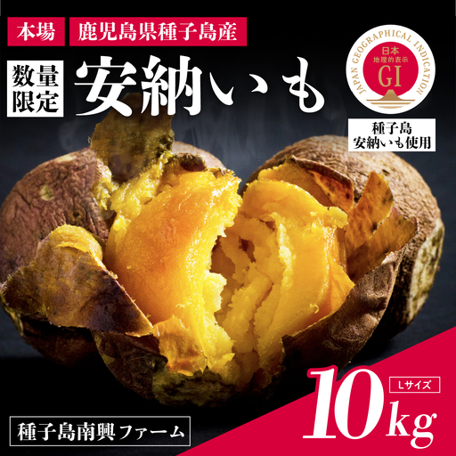 【先行予約】種子島 安納いも 10kg（Lサイズ：300g～400g）（種子島南興ファーム）さつまいも 本場 安納芋 安納紅 安納こがね さつま芋 甘い ねっとり スイーツ おやつ グルメ お取り寄せ 人気 種子島産 返礼品 南種子町 鹿児島【南種子町観光物産館 トンミー市場】