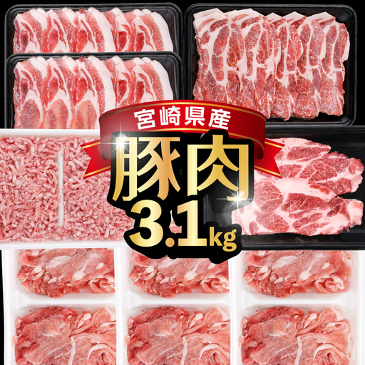 《2026年11月発送》宮崎県産豚バラエティー3.1kgセット_K033-054-11